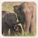 Zoek naar indische onderzetters Bruin