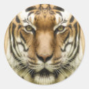 Zoek naar close up stickers Elk persoon