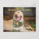 Zoek naar medicijnen briefkaarten Humor