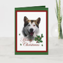 Zoek naar alaskan malamute kaarten Xmas