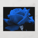 Zoek naar nam toe briefkaarten Bloemen