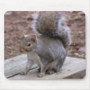 Zoek naar eekhoorns muismatten Wild