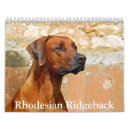 Zoek naar ridgeback Huisdier