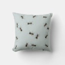 Zoek naar mier kussens Insect