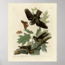 Zoek naar oosters posters Vogel