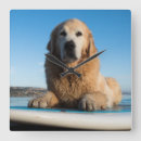 Zoek naar australië klokken Zee