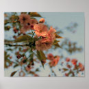 Zoek naar roze boom posters Schattig