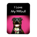 Zoek naar pitbull magneten Pittie