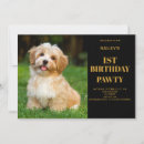 Zoek naar hond foto uitnodigingen Honden