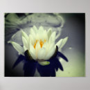 Zoek naar zwart wit water posters Voor haar