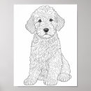 Zoek naar labradoodle kunst Labradole