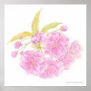 Zoek naar de boom van de bloesem posters Schilderij