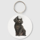 Zoek naar poodle sleutelhangers Puppies