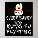 Zoek naar kungfu posters Vechtend