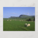 Zoek naar isle skye briefkaarten Reizen