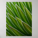 Zoek naar rozet posters Abstract