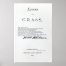 Zoek naar grenzen posters School