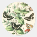 Zoek naar tuin stickers Vlinder