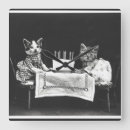 Zoek naar grappige kattenfoto posters Schattige kittens