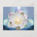 Zoek naar witte lotusbloem briefkaarten Bloemen