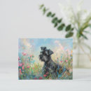 Zoek naar mini schnauzer briefkaarten Hond