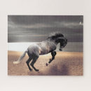 Zoek naar veulen puzzels Pony