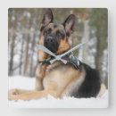Zoek naar duitse herder klokken Schattig