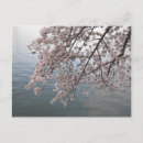 Zoek naar beek briefkaarten Fotografie