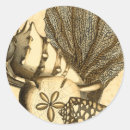 Zoek naar zeewier stickers Kelp