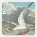 Zoek naar zeemeeuw stickers Vogel