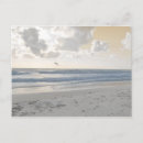 Zoek naar fotografie briefkaarten Strand