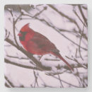 Zoek naar cardinal onderzetters Sneeuw