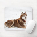 Zoek naar siberian husky muismatten Blauwe ogen