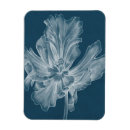 Zoek naar tulip magneten Bloemkolen