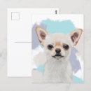Zoek naar witte hond briefkaarten Honden