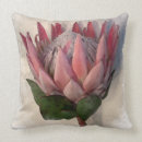 Zoek naar protea kussens Roze