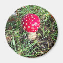 Zoek naar mushroom magneten Rood