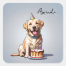 Zoek naar labradors stickers Voor iedereen