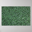 Zoek naar groen plant posters Natuur