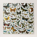 Zoek naar insecten puzzels Vlinder