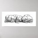 Zoek naar schedel tekening kunst Gothic