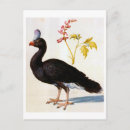 Zoek naar arcimboldo briefkaarten Natuur