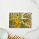 Zoek naar zweedse kaarten Vrouw