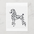 Zoek naar poodle briefkaarten Natuur
