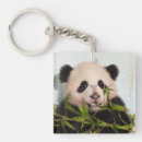 Zoek naar giant sleutelhangers Dieren