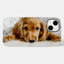 Zoek naar cocker spaniel iphone hoesjes Puppy