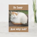 Zoek naar grappige turk kaarten Fotografie