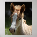 Zoek naar gezichten posters Frankrijk