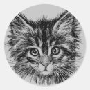 Zoek naar katten gezicht stickers Poesje