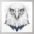 Zoek naar adelaars tekening posters Vogel